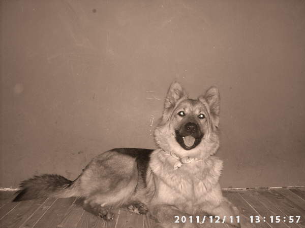 PIC02022