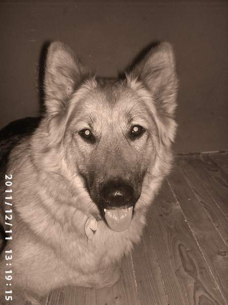 PIC02027