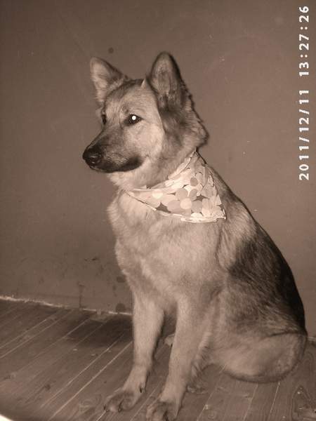 PIC02033