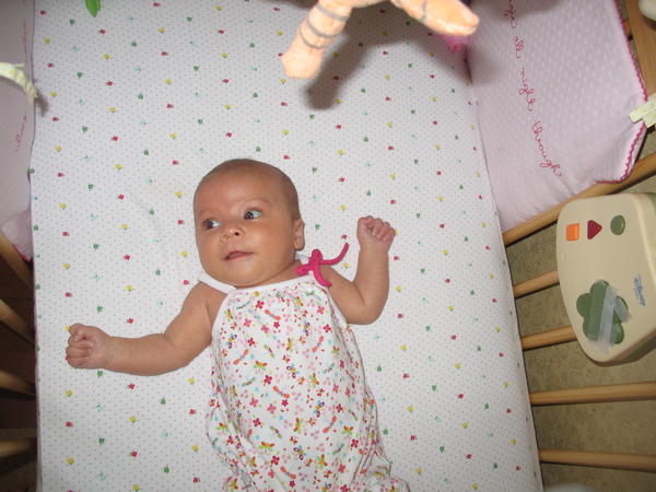 Picture 004