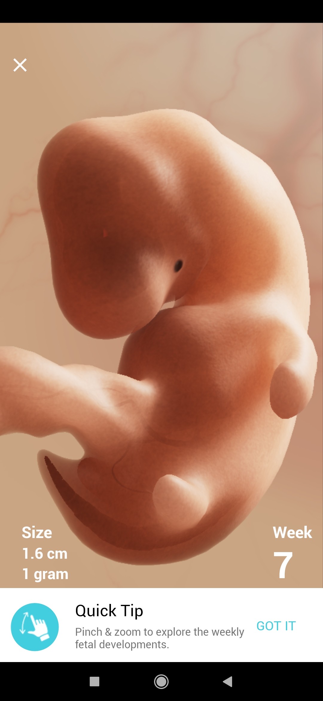 Screenshot_2021-03-13-13-54-51-108_com.hp.pregnancy.lite.jpg