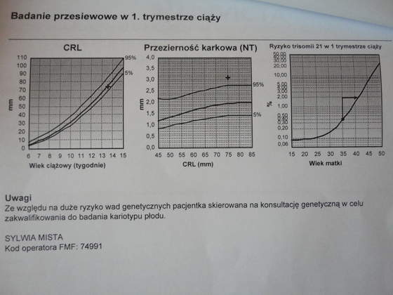 Ultrasenografia I trymestr (2)