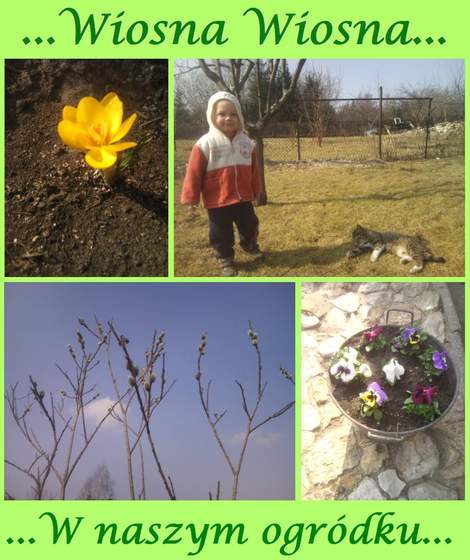 wiosna