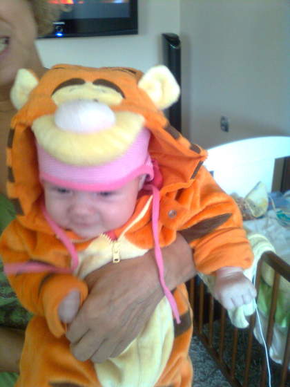 Zdjęcie0066
