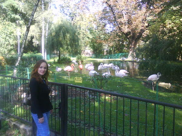 Zoo