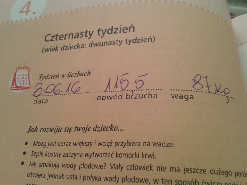 1465456793-1d1mld.jpeg