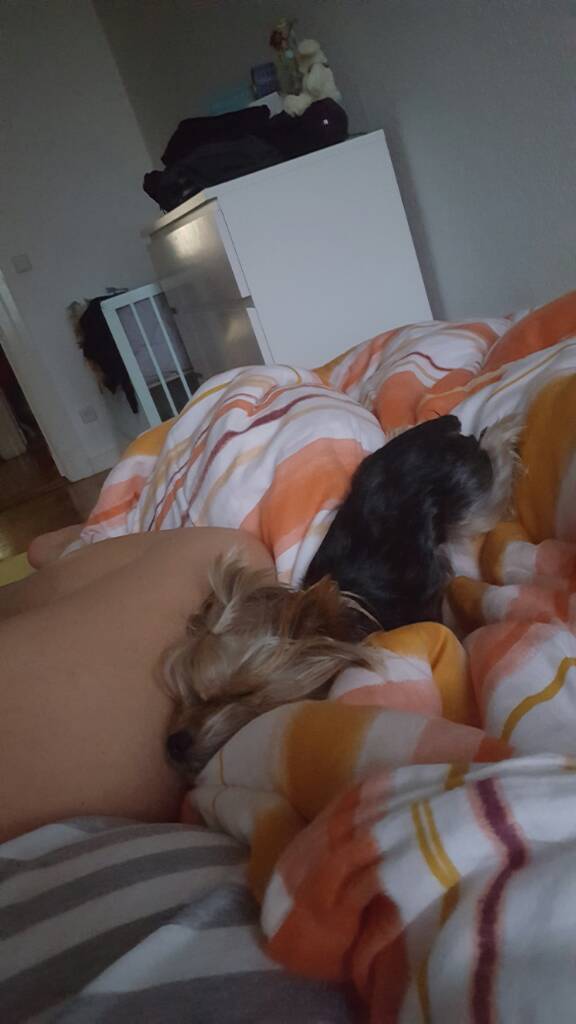 1476511459-1d1mld.jpeg
