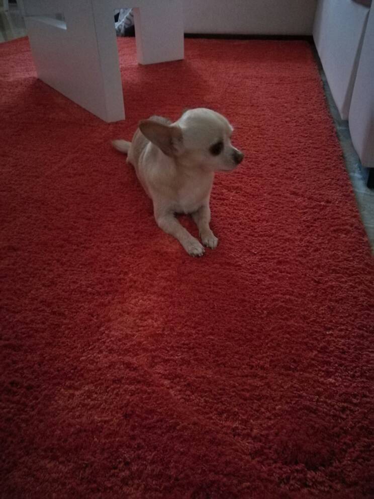 1483953874-aaaaaa.jpeg
