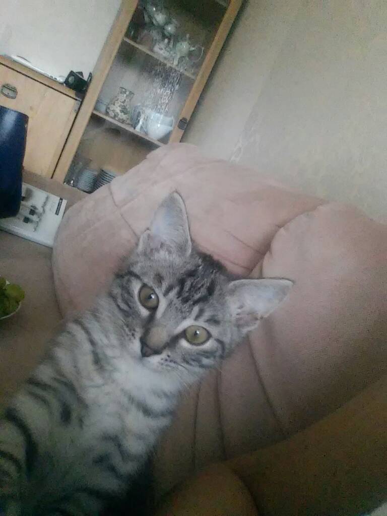 1488183436-aaaaaa.jpeg