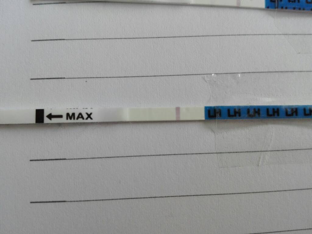 1488959665-aaaaaa.jpeg