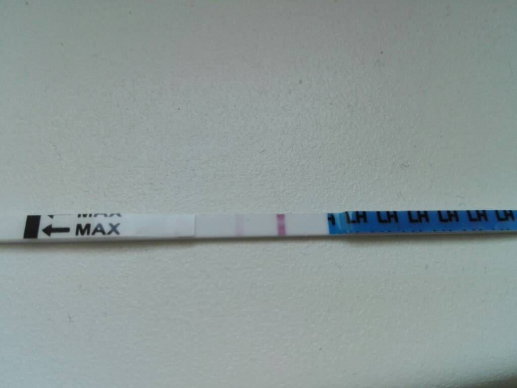 1489042641-aaaaaa.jpeg