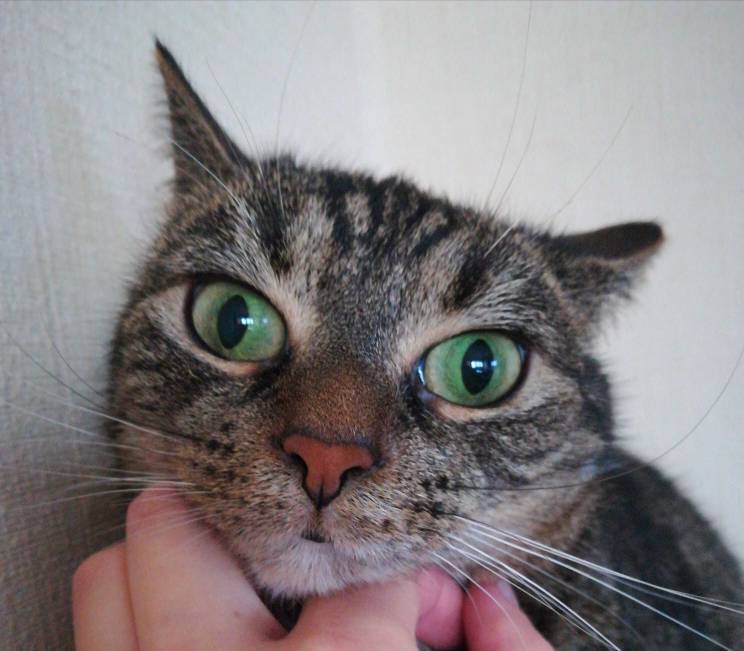 1510049062-1244fb86a2757dd2-aaaaaa.jpeg
