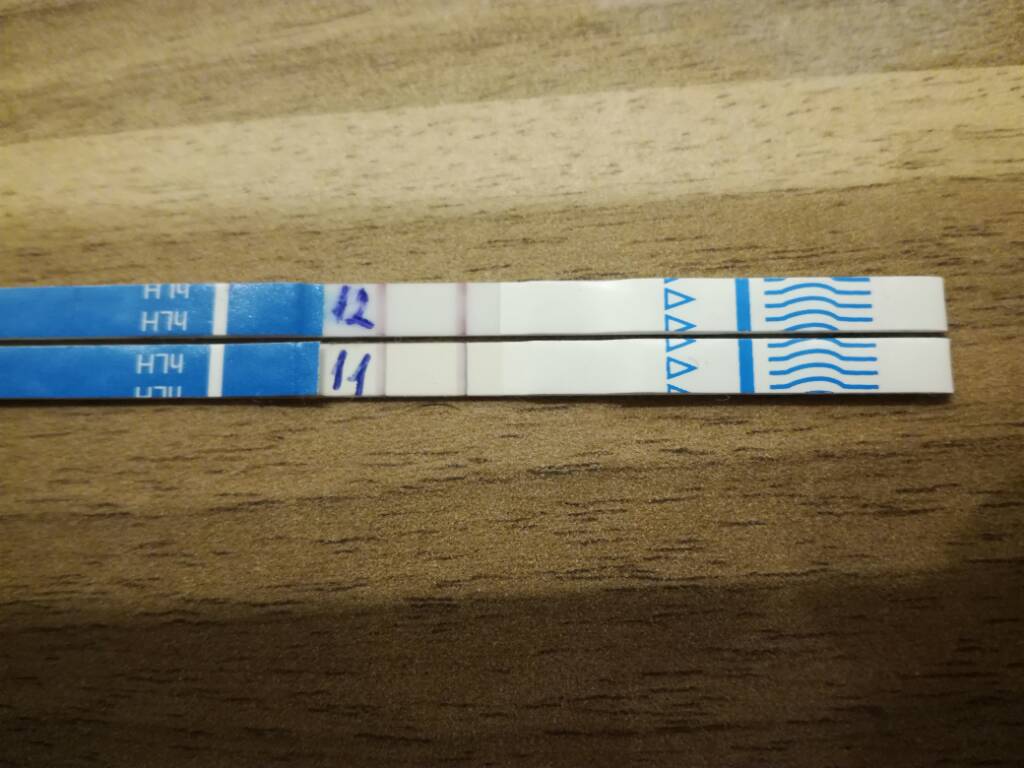 1512292747-63ef4fcdfbe47bd1-aaaaaa.jpeg