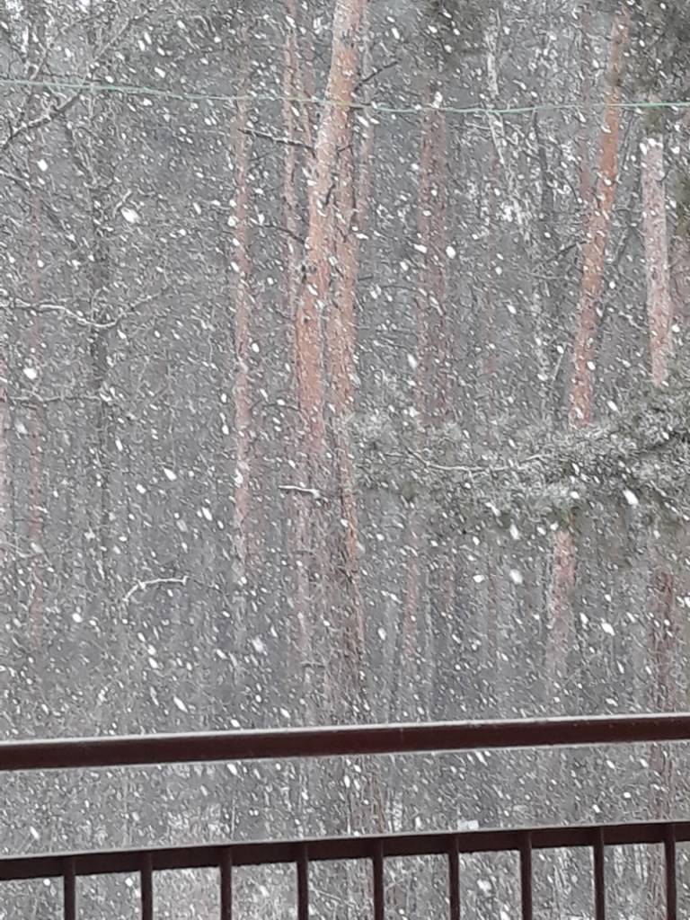 1518779130-14b7c984b0c261ad-aaaaaa.jpeg