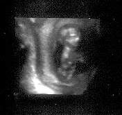 P12scan7A.jpg