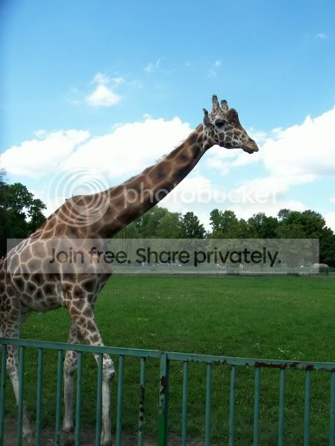 100_6574.jpg