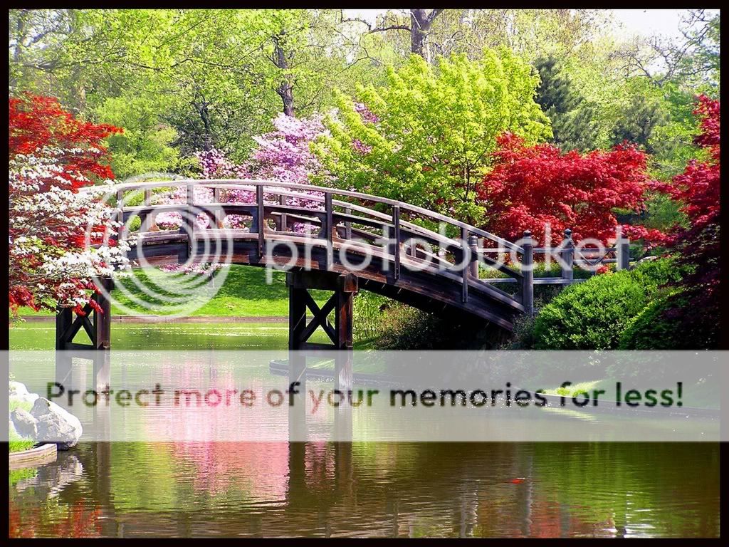 SPRINGGARDEN1.jpg