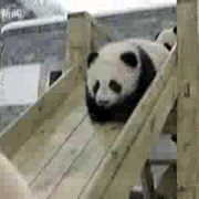1168599yms7f0foqz.gif