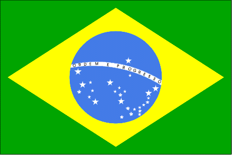 flaga.png