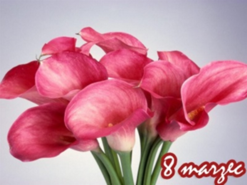 12203_Z%20okazji%20Dnia%20Kobiet.jpg