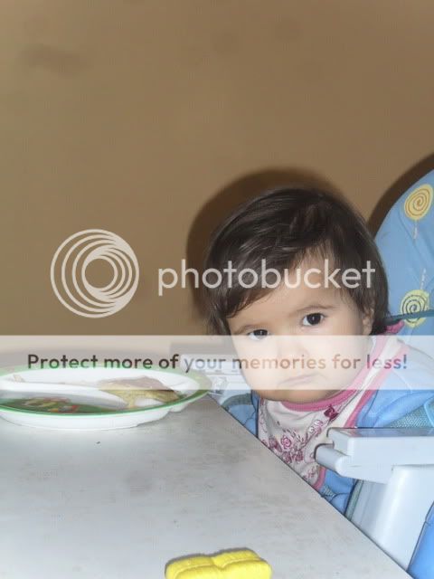 SDC11697.jpg