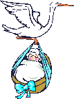 Baby_and_stork_3.gif