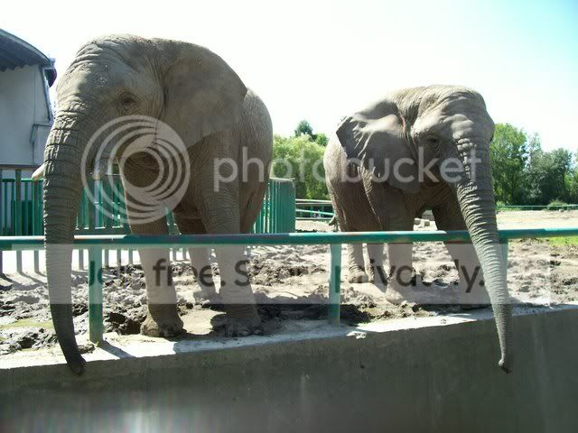 100_6556.jpg