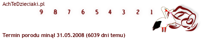 20080531274353.png