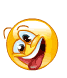 crazyW12.gif