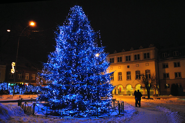 choinkajaslo1812.jpg
