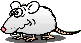 9.gif