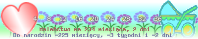 28.png