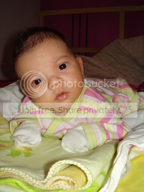 P8100004.jpg