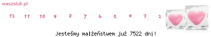 img-2005122501801830.png