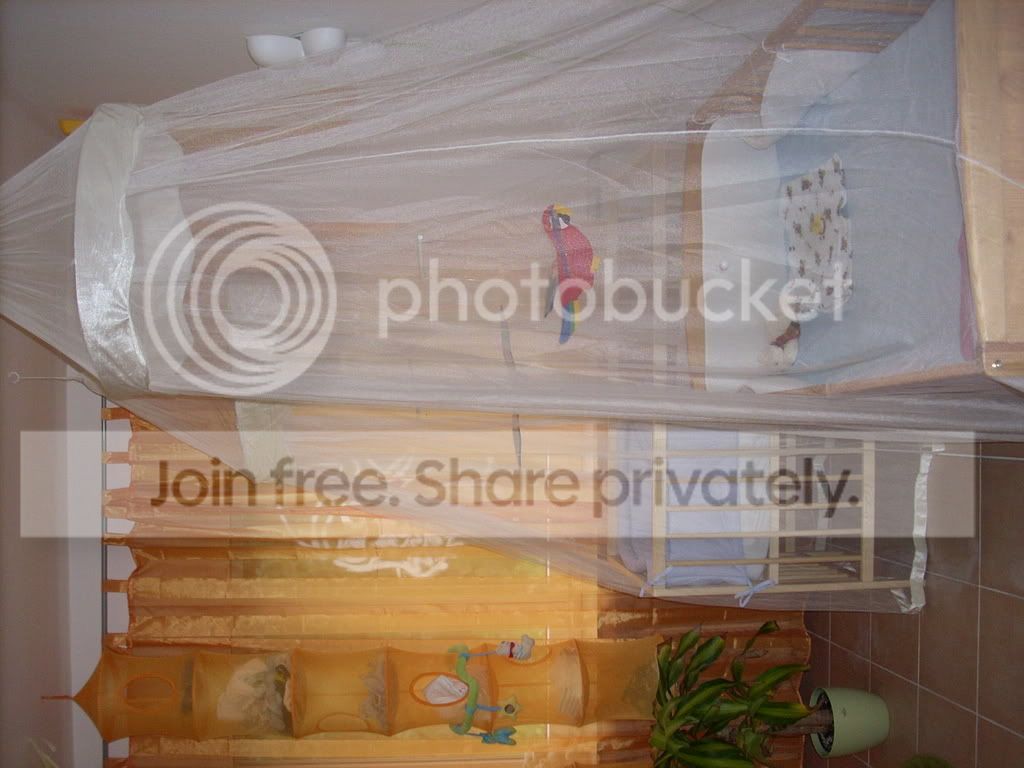 DSCN3581.jpg
