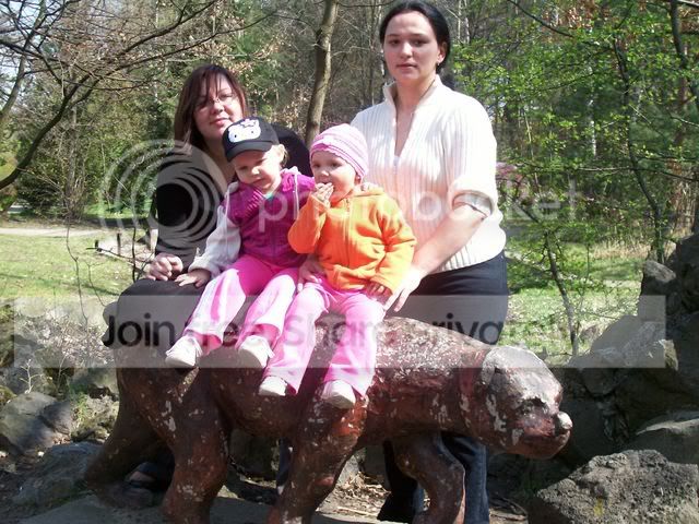 100_6008.jpg