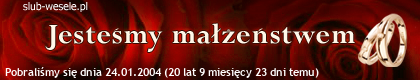 20040124040117.png