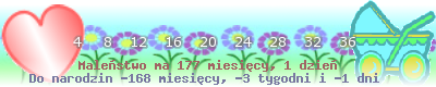28.png