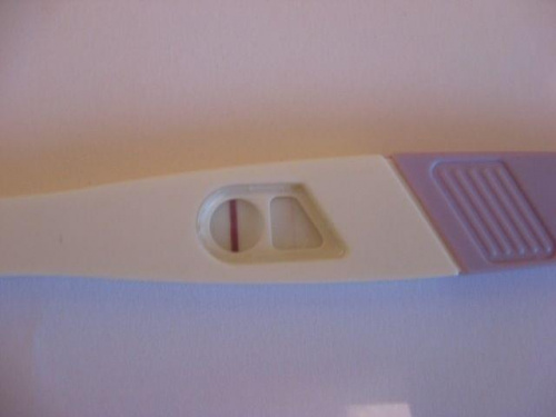 fe84bcc6285deafemed.jpg