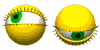 goldi222_oczy0023.gif