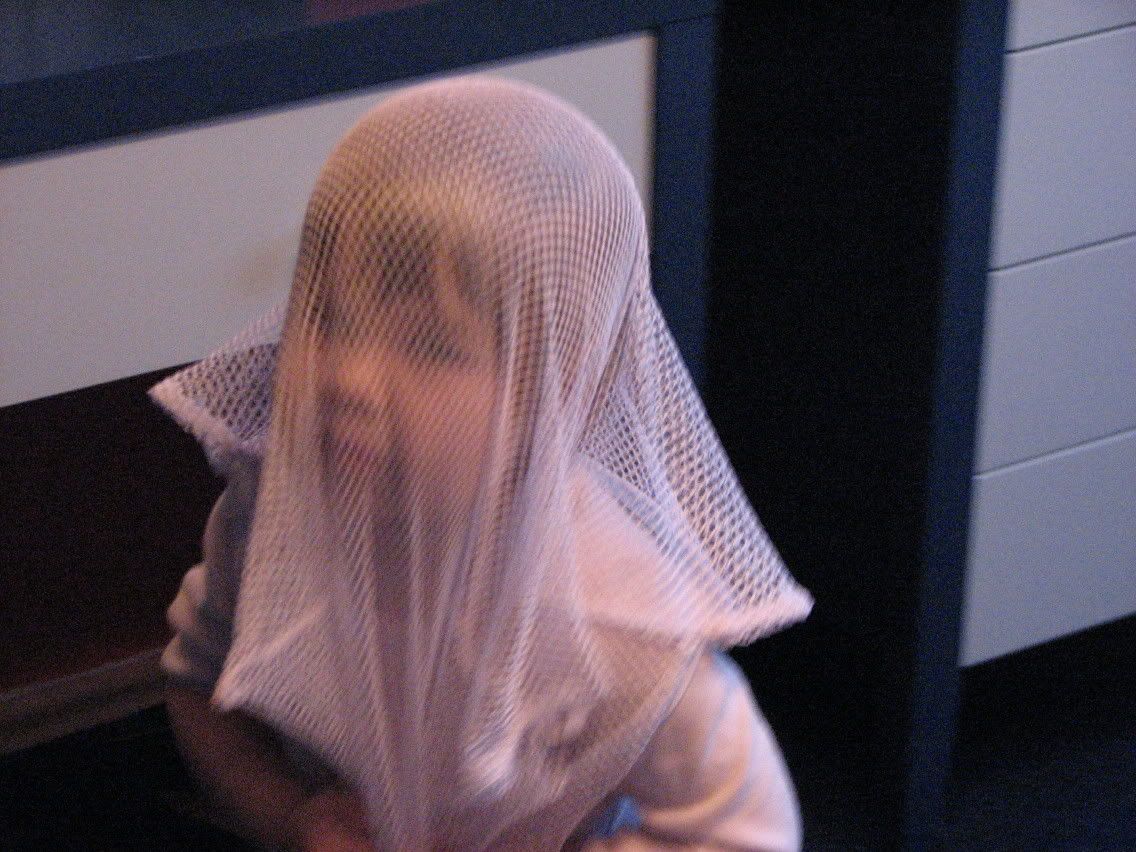 IMG_3171.jpg