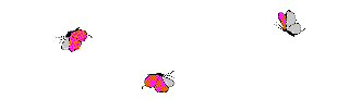 motyle036.gif