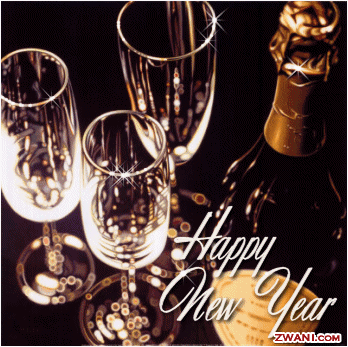 5new-year-5-2009.gif