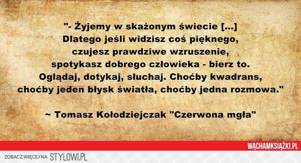 stylowi_pl_plakaty-i-obrazy_5016499.jpg