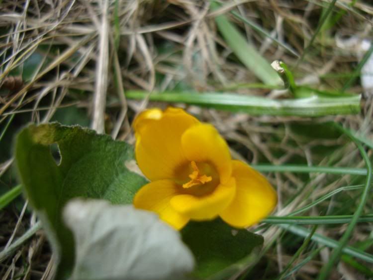 DSC03252_750x562.jpg