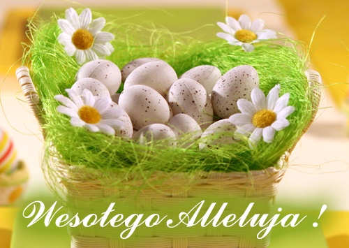 a31b1daad28e3f23dbc82294f06d8760.jpg