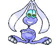 004.gif