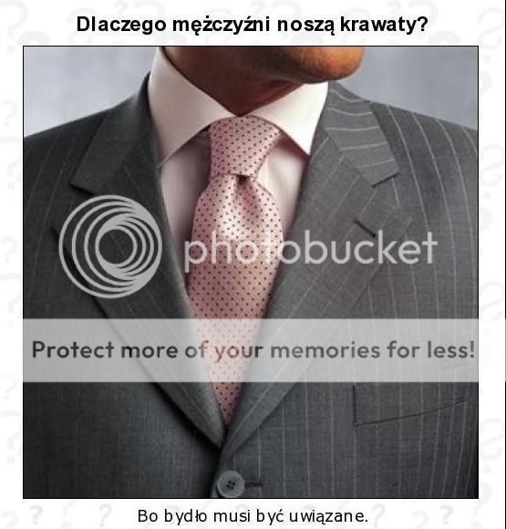 04ccb24dc6b418e881b0b8edb87a6bf2.jpg