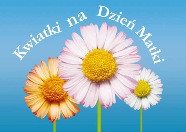 dzien-matki-53668.jpg