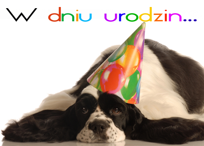 urodzinowe666.jpg